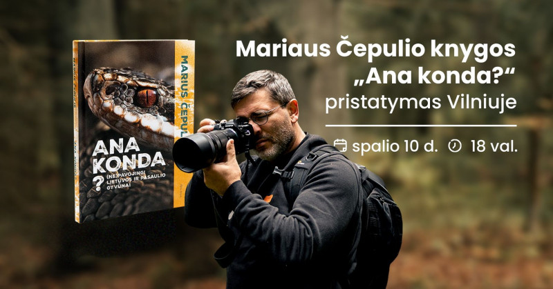 Marius Čepulis.jpg
