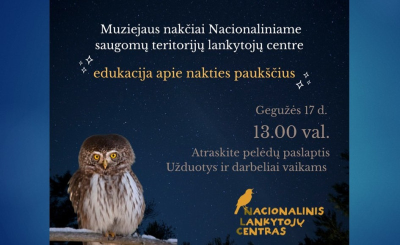 Vizualas_muzieju nakciai.jpg