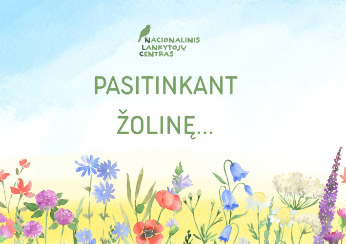 Žolinėms facebook (A5 (Landscape)).jpg