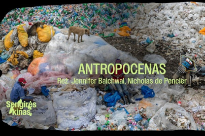 Sengirės kinas Tytuvėnų RP.jpg