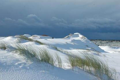 Kursiu nerijos NP.jpg