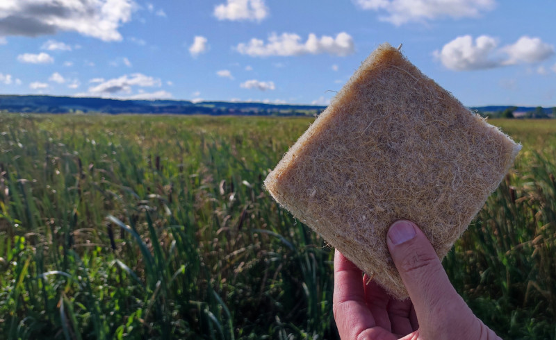 Svendrai IMG_202209210.jpg