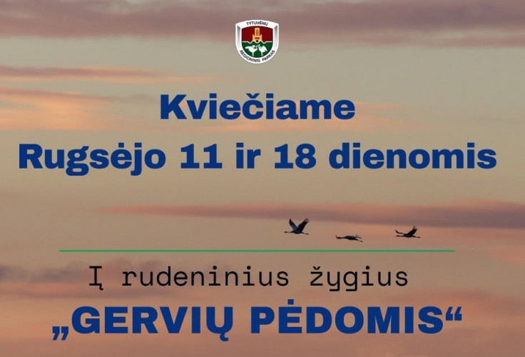 Gerviu zygis.jpg