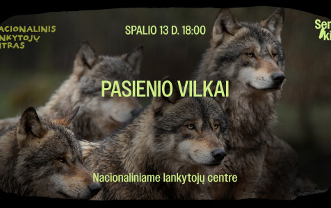 Nac. Lankytojų centras.jpg
