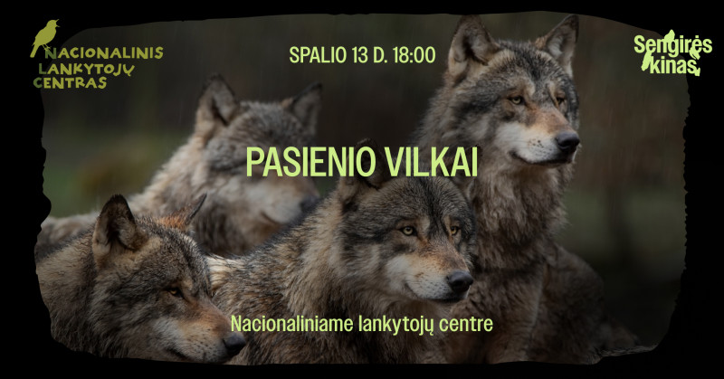 Nac. Lankytojų centras.jpg