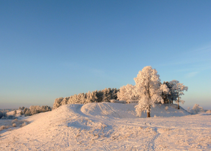 Zvelgaicio piliakalnis ziema.JPG