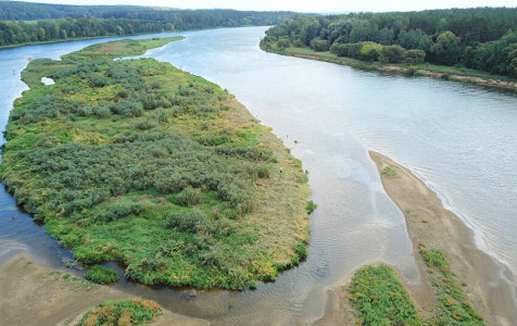 Nemuno sala.jpg