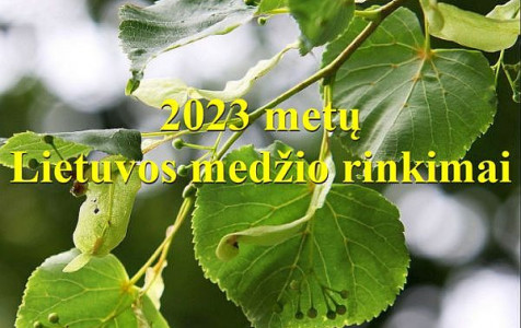 Lietuvos medzio rinkimai_2023.jpg