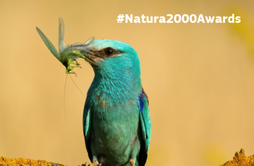 Natura_2000_banner_bird_Facebook_1200x628px-1024x536.png