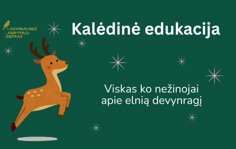 Kalėdinė edukacija “Viskas ko nežinojai apie elnią devynragį”.png