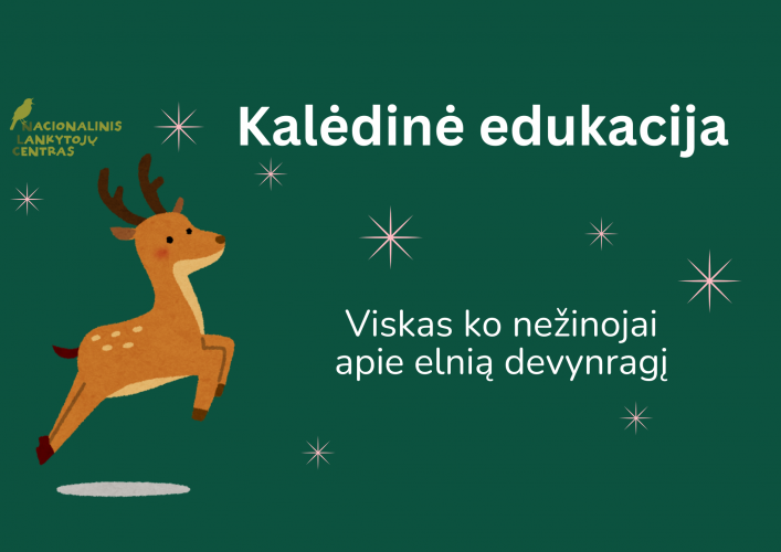 Kalėdinė edukacija “Viskas ko nežinojai apie elnią devynragį”.png