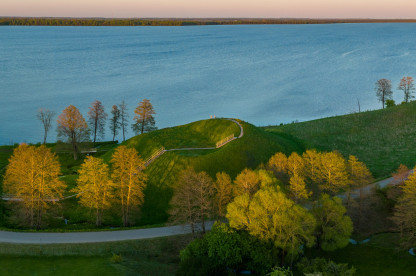 Reklamine _Marius Semaška.jpg