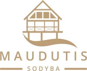 Maudutis3-300x243.png