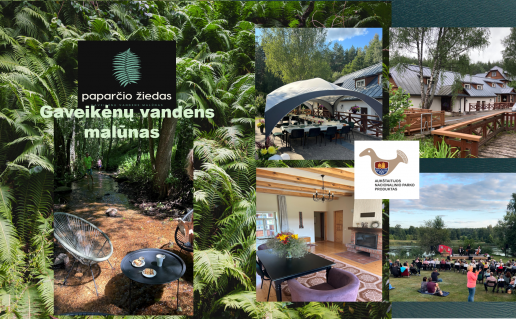 Ekrano kopija (313).png