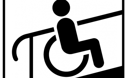 INFO PIKTOGR SU NEGALIA_3-45 – kopija.png