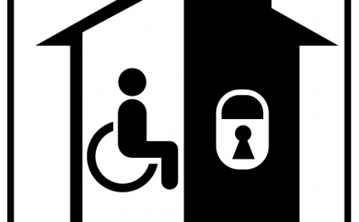 INFO PIKTOGR SU NEGALIA_3-75 – kopija.png