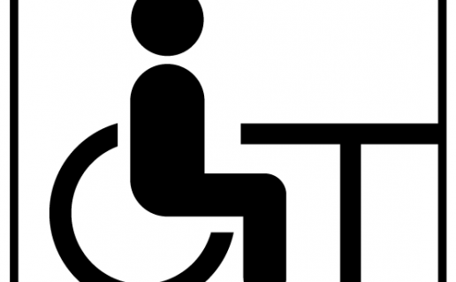 INFO PIKTOGR SU NEGALIA_3-18 – kopija.png