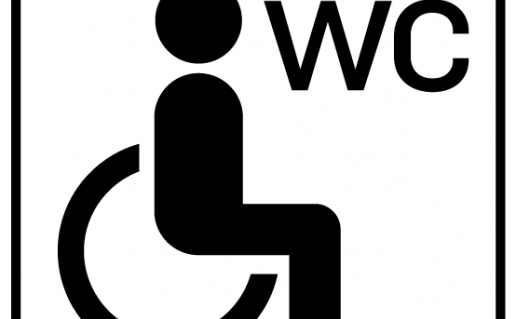 INFO PIKTOGR SU NEGALIA_3-36 – kopija.png