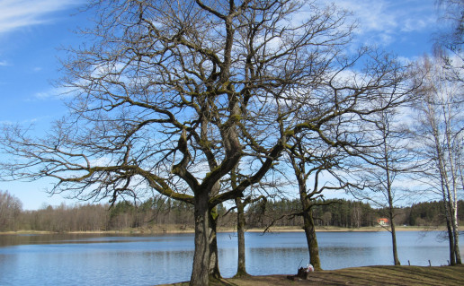 Stovyklavietė 